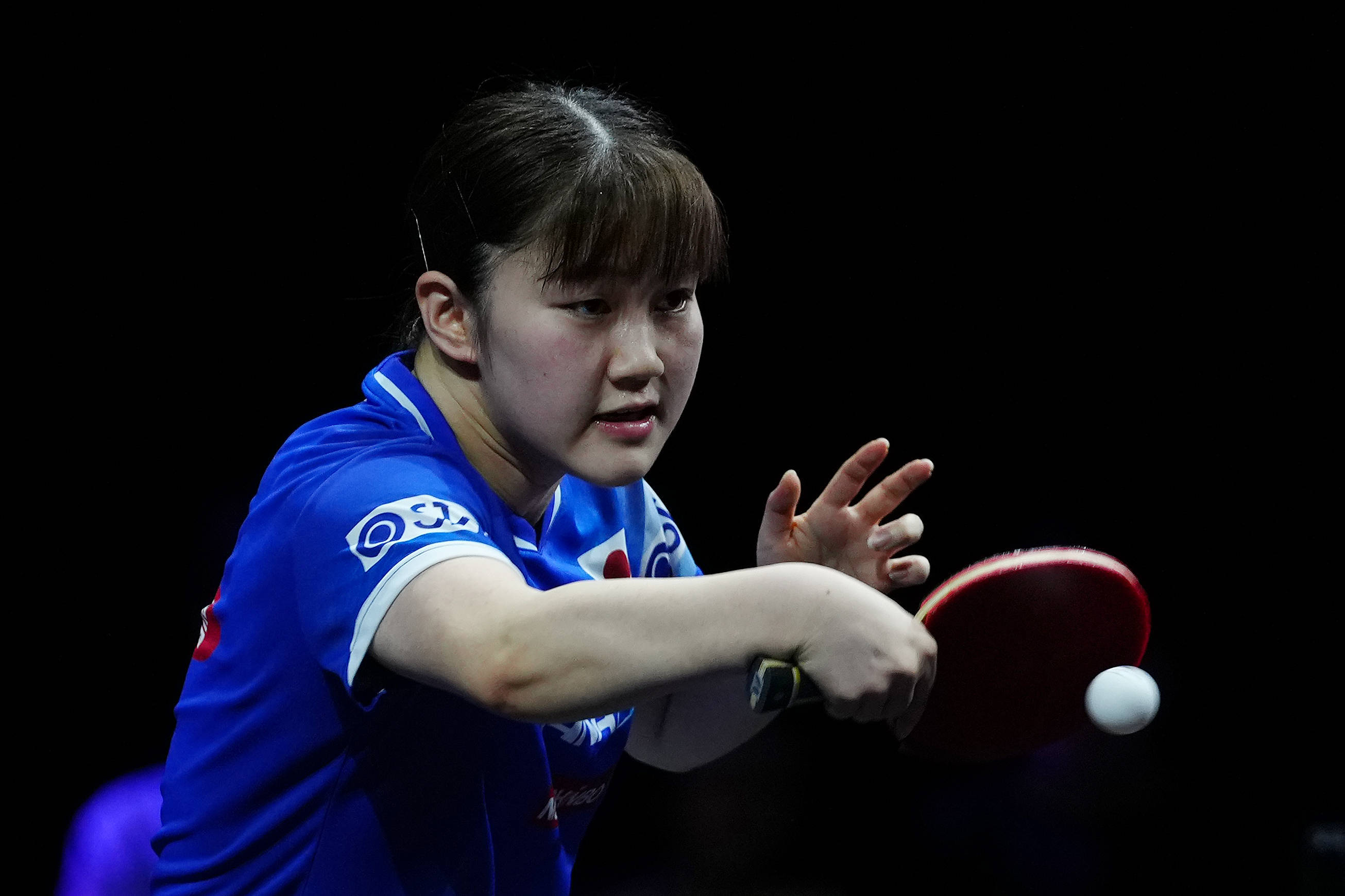 牛體系的資 牛體系的資